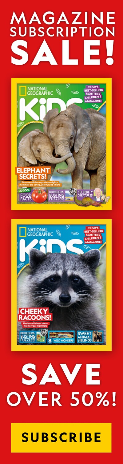 Marketing Subs HPTO 2023 UK – right panel