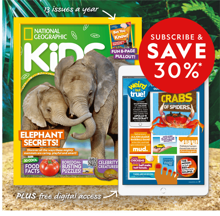 Nurture A Love Of Reading With National Geographic Kids Magazine