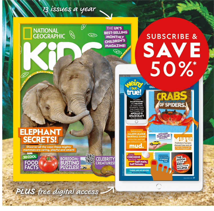 Nurture their love of reading with <br>a National Geographic Kids  magazine subscription</br>