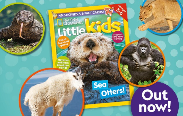 world map activity | the cover of an issue of National Geographic Little Kids, showing a smiling sea otter, powerful gorilla, fierce Komodo dragon and more! Text reads 'Out now!'