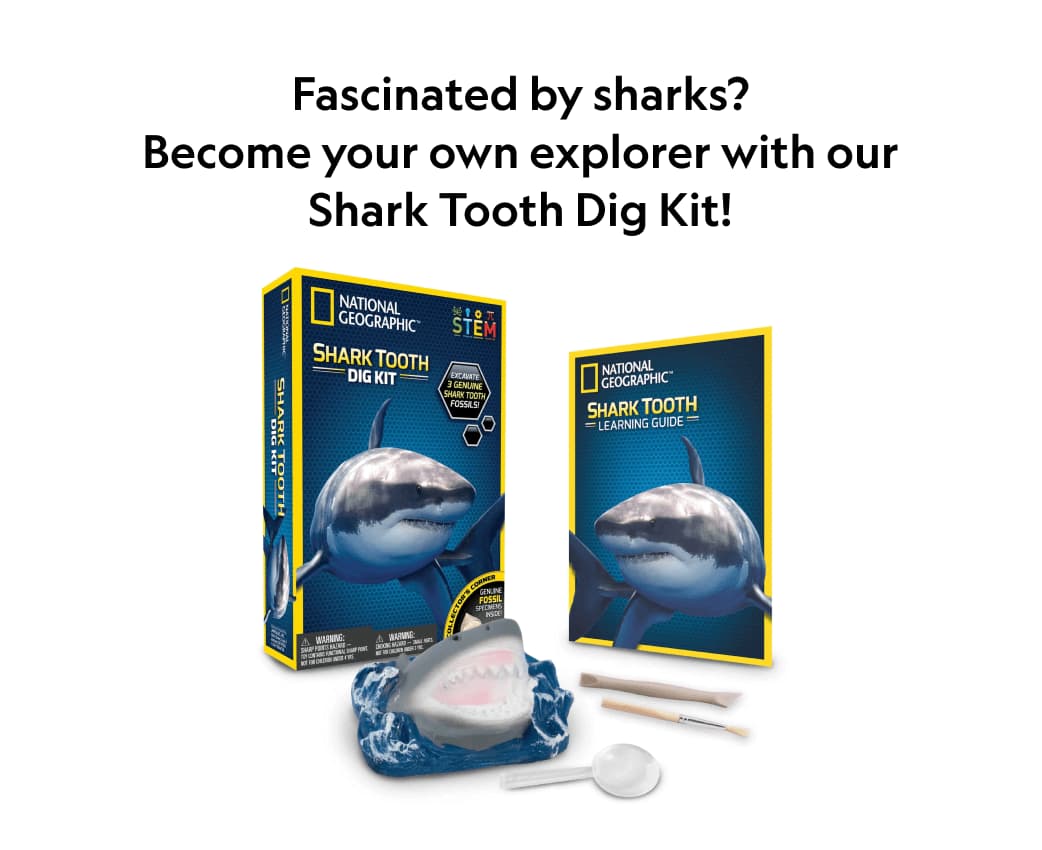 Fascinated by sharks? Become your own explorer with our Shark Tooth Dig Kit! is written on the post, which also shows a box containing a Shark Tooth Dig Kit from National Geographic