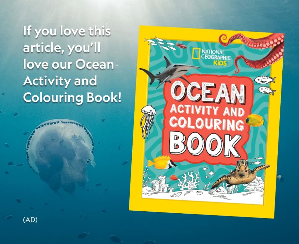 If you love this article, you'll love our Ocean Activity and Colouring Book is written on the post, which shows a book called Ocean Activity and Colouring Book, as well as a blue jellyfish