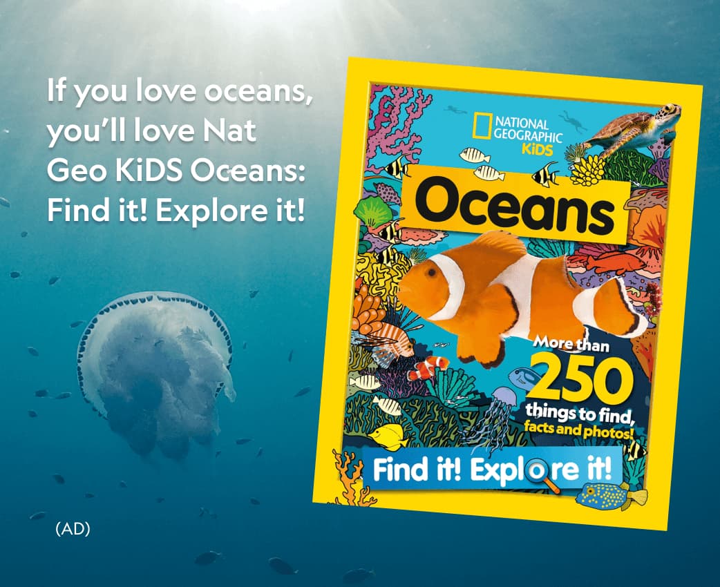 You'll love our educational magazines for all ages! is written on the post, which shows a book called Oceans Find It! Explore it! which has a clownfish on the front