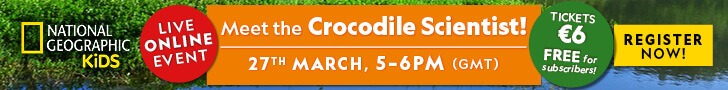 Croc Webinar IE – Leaderboard