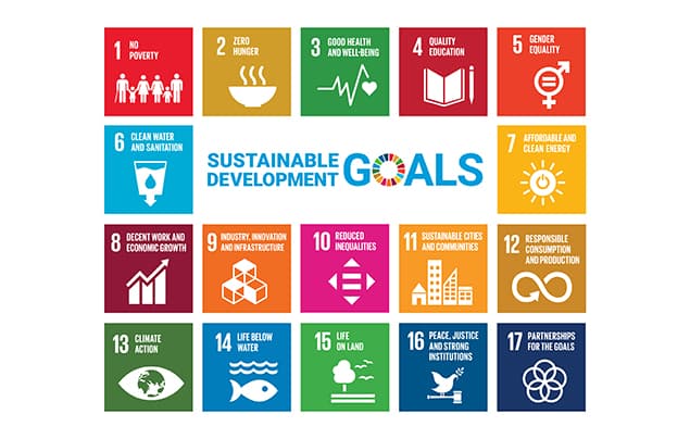 sustainable development goals | a graphic showing each of the 17 goals - these are detailed lower down in the article