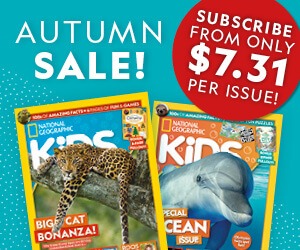 NGK NZ Autumn Sale: MPU