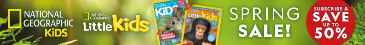 NGK UK Spring Sale: Leaderboard