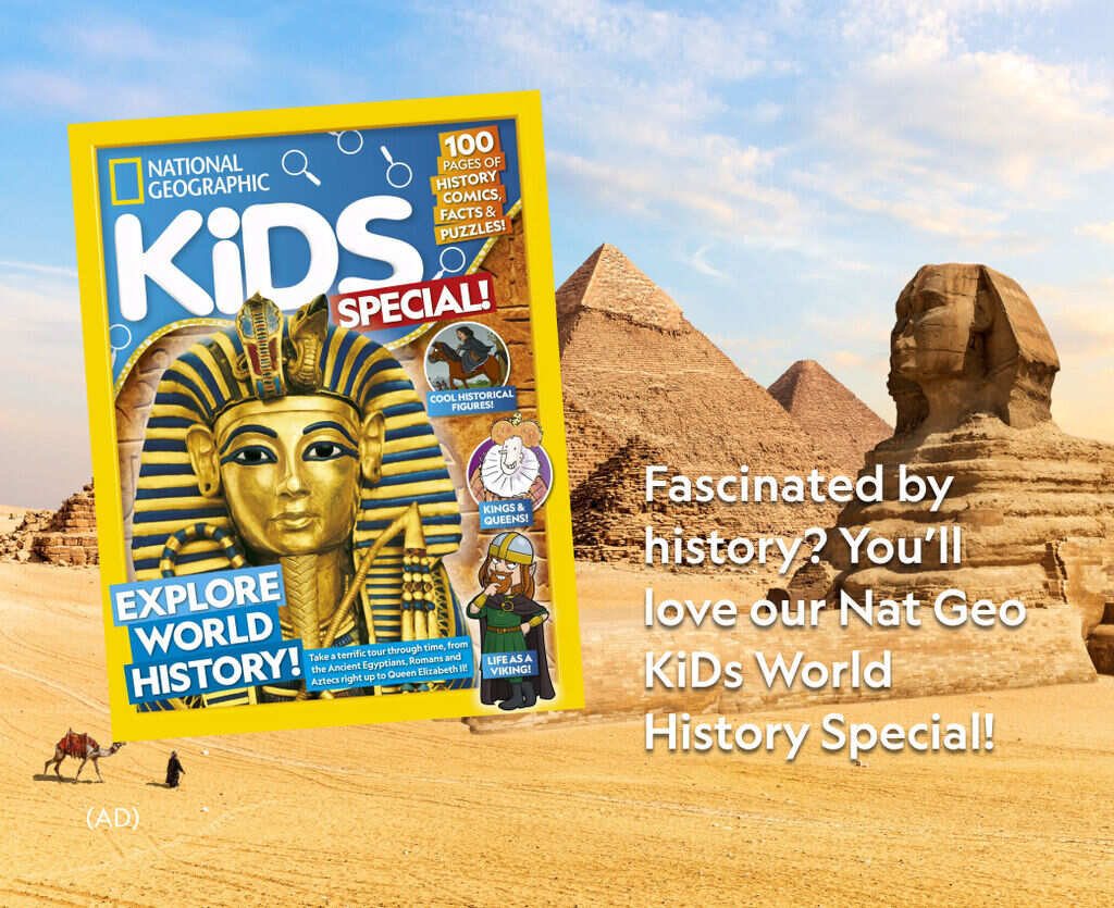 NGK Special &ndash; World History: In-Article
