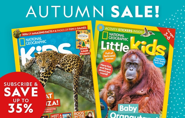NGK AU Autumn Sale: In-Article