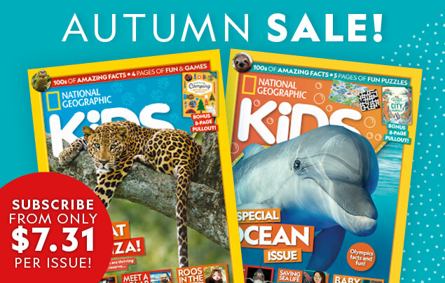 NGK NZ Autumn Sale: In-Article