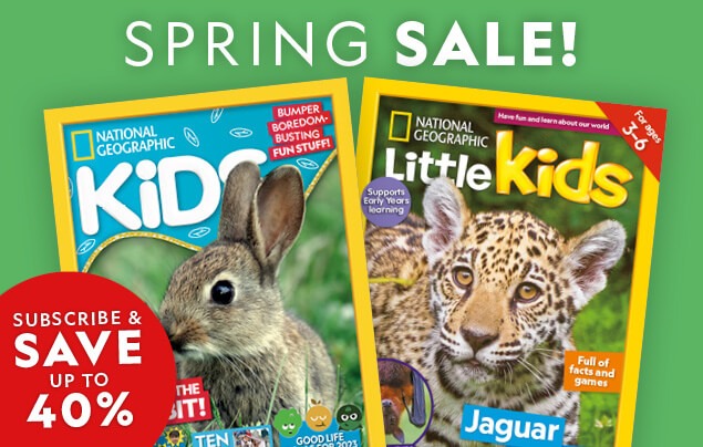 NGK IE Spring Sale: In-Article