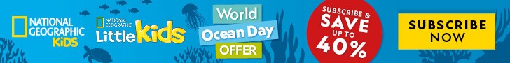 WOD Flash Sale IE: Leaderboard