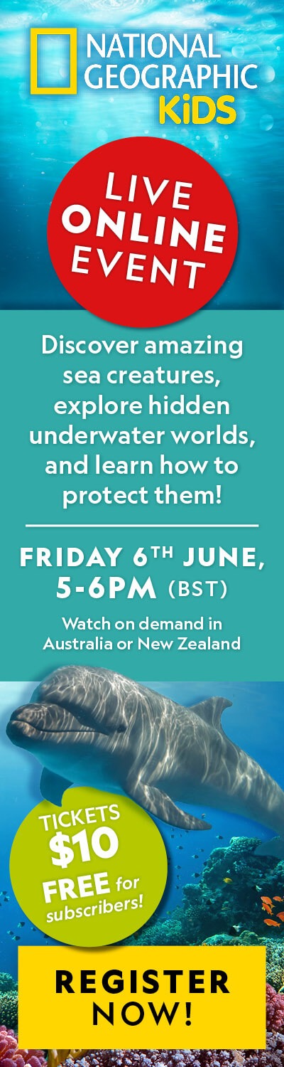 DITD Webinar NZ: RHB