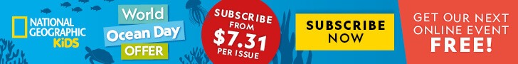 WOD Flash Sale NZ: Leaderboard