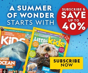 Summer 25 Offer IE: MPU