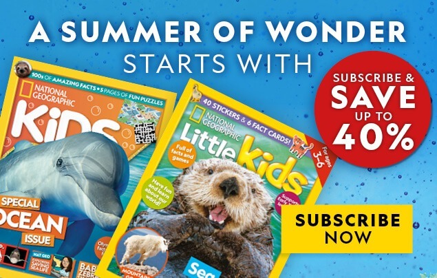 Summer 25 Offer IE: In-Article Banner