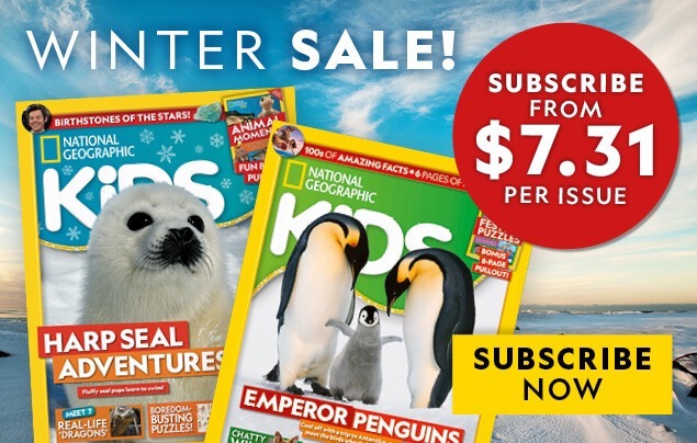 Winter 25 Offer NZ: In-Article Banner