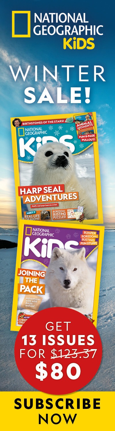 Games | National Geographic Kids