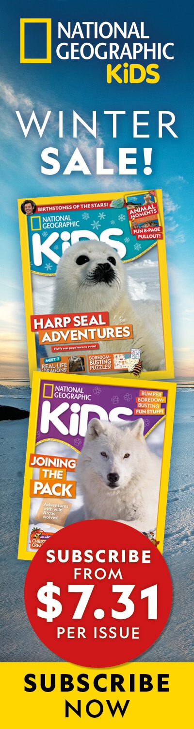 Winter 25 Offer NZ: LHB
