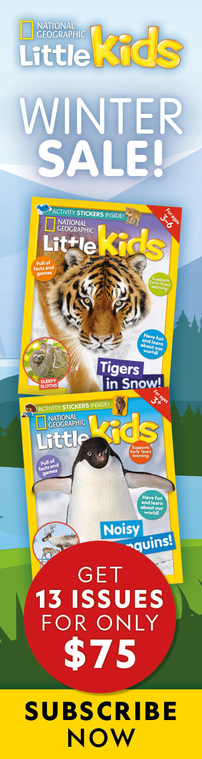 Games | National Geographic Kids