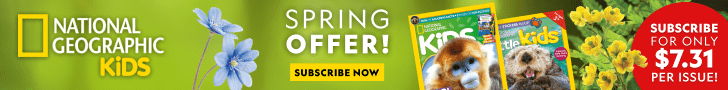 NZ | Spring Sale 2025 | Leaderboard