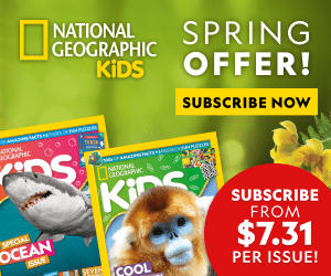 NZ | Spring Sale 2025 | MPU