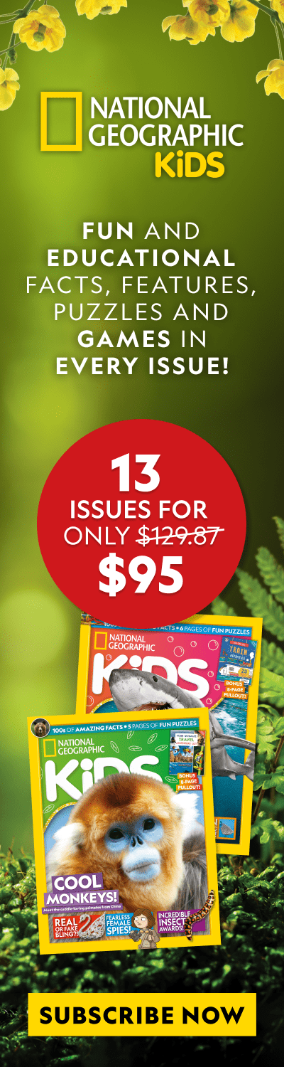 NZ | Spring Sale 2025 | RHB