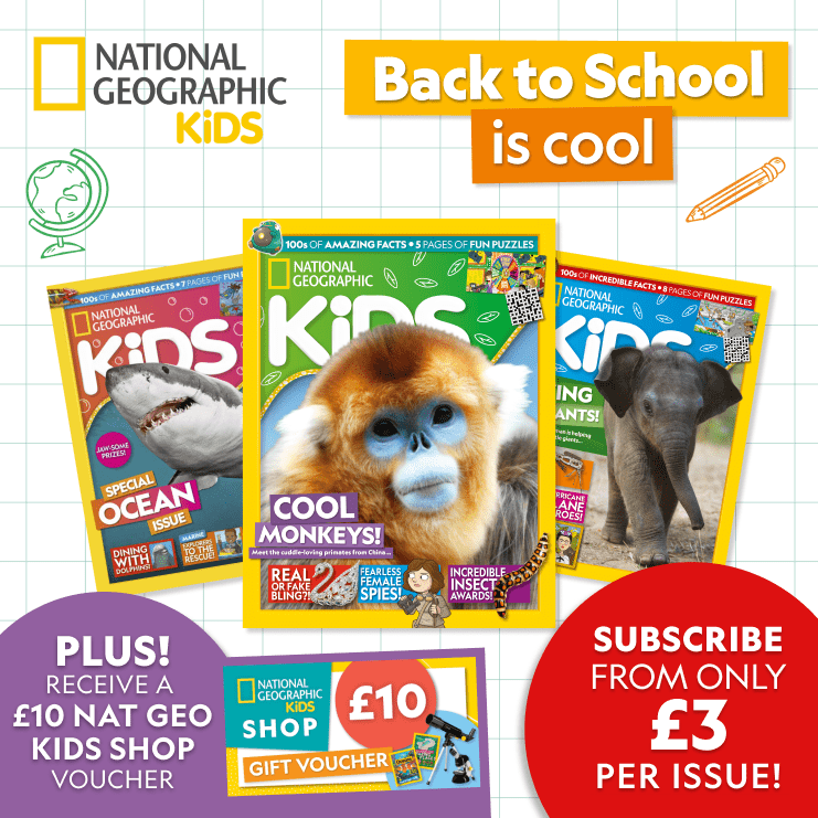 Save in our Back to School Sale!<br> - Mobile banner