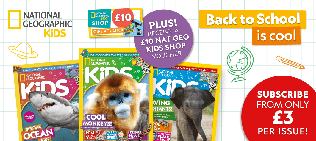 Save in our Back to School Sale!<br> - Desktop banner