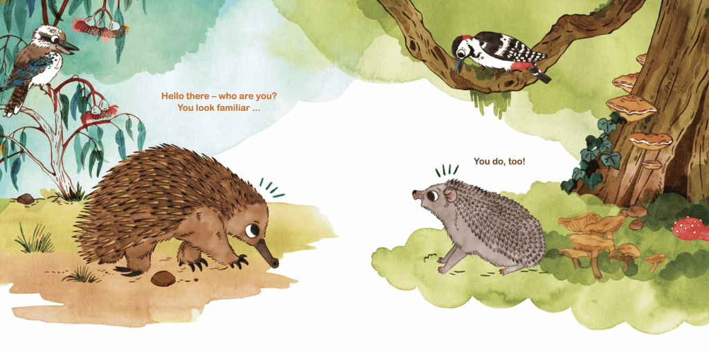 An Echidna and a Hedgehog face each other in a forest. A kookaburra and a woodpecker watch from the branches above. The Echidna says, Hello there—who are you? You look familiar... The Hedgehog replies, You do, too!.