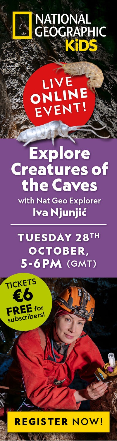 IE: CitC Webinar October 2025 – LHB