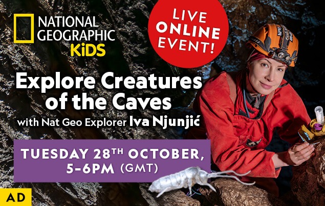 IE: CitC Webinar October 2025 – In-Article