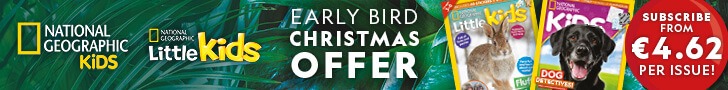 IE: Early Bird Christmas Offer – Leaderboard