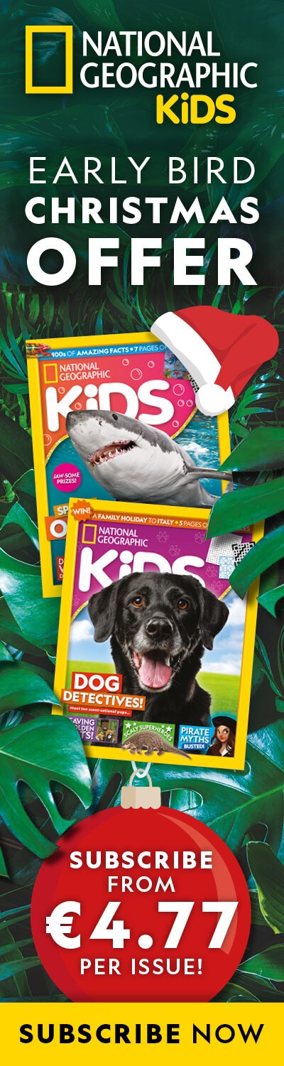 IE: Early Bird Christmas Offer – LHB