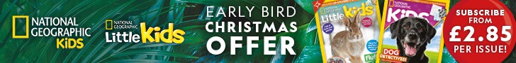 UK: Early Bird Christmas Offer – Leaderboard