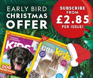 UK: Early Bird Christmas Offer – MPU