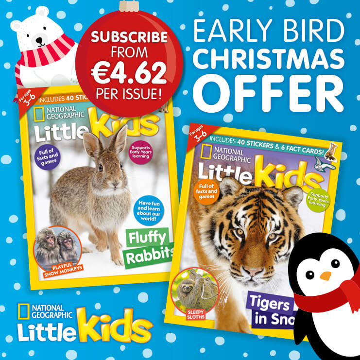 Offer ends 31 October!<br> - Mobile banner