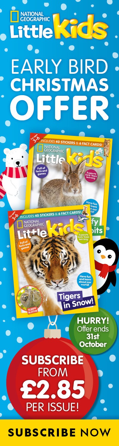 UK: Early Bird Christmas Offer – RHB