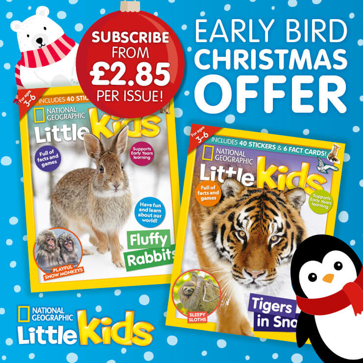 Offer ends 31st October!<br> - Mobile banner