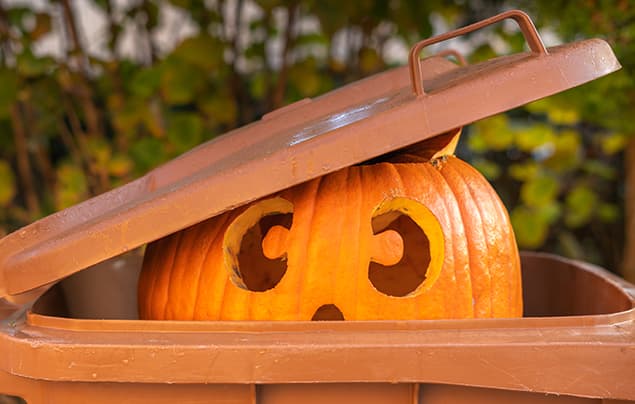 Halloween facts | a carved pumpkin sits in the top of a brown recycling bin
