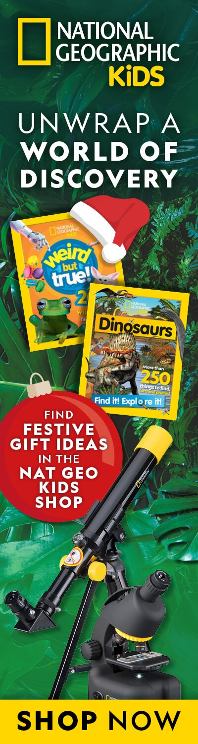 NGK Shop: Christmas 2025 – LHB