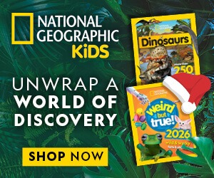 NGK Shop: Christmas 2025 – MPU