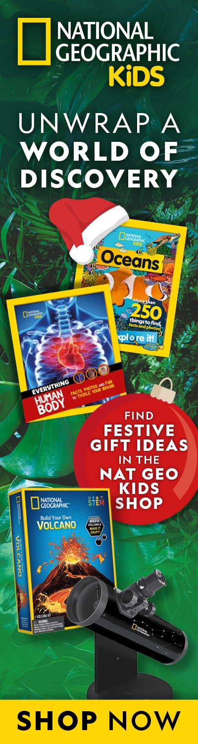 NGK Shop: Christmas 2025 – RHB