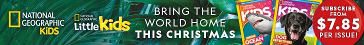 NZ: Christmas 2025 Offer – Leaderboard