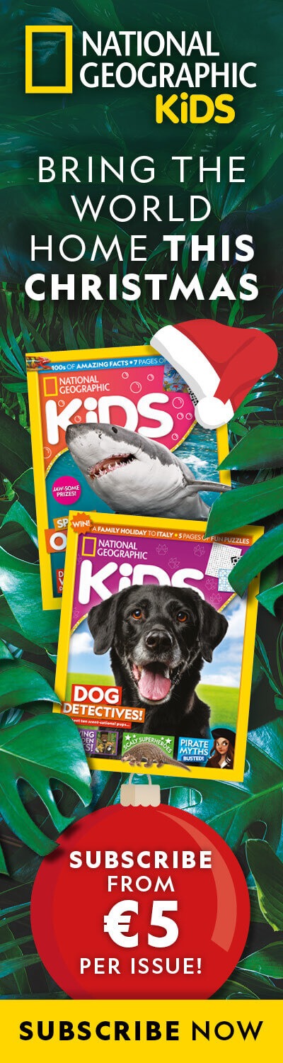 IE: Christmas 2025 Offer – LHB