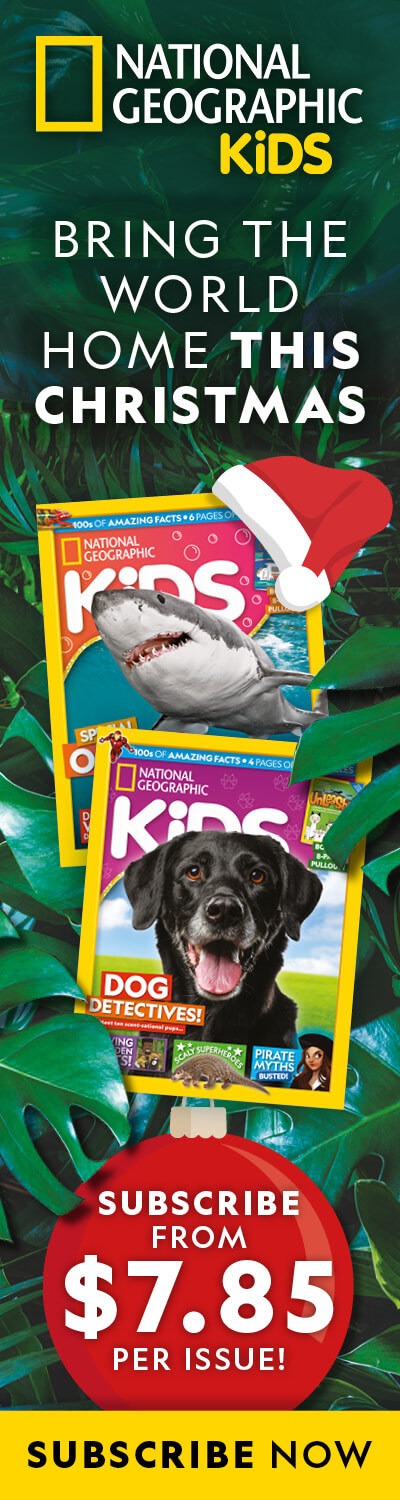 NZ: Christmas 2025 Offer – LHB