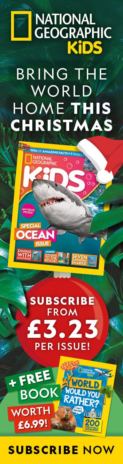 UK: Christmas 2025 Offer – LHB