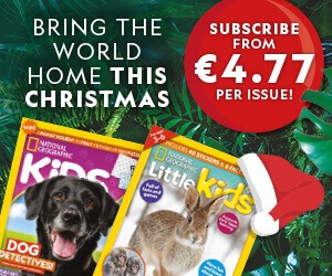 IE: Christmas 2025 Offer – MPU