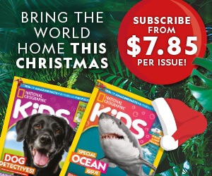 NZ: Christmas 2025 Offer – MPU