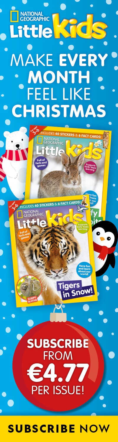 IE: Christmas 2025 Offer – RHB